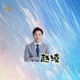 赵凌